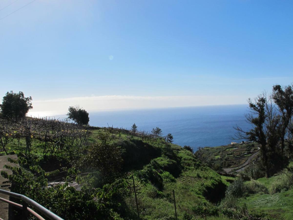 Blooming Botanic Houses Estreito Da Calheta Екстер'єр фото
