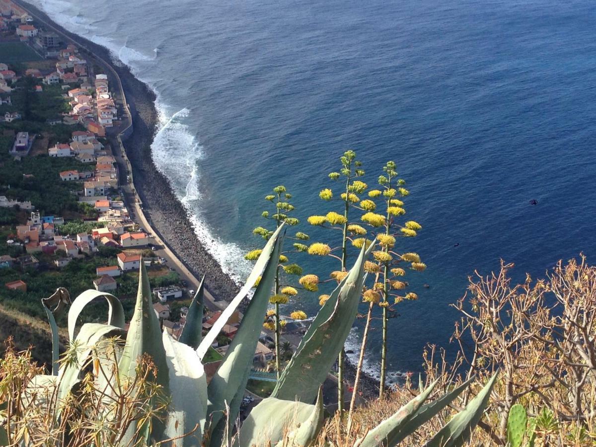 Blooming Botanic Houses Estreito Da Calheta Екстер'єр фото