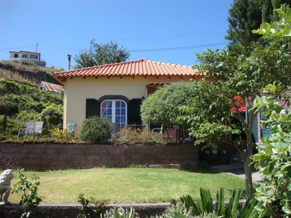 Blooming Botanic Houses Estreito Da Calheta Екстер'єр фото