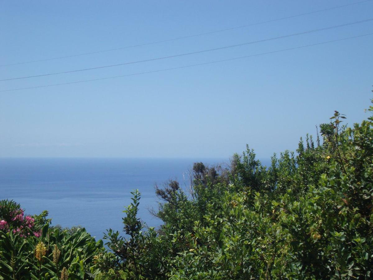 Blooming Botanic Houses Estreito Da Calheta Екстер'єр фото